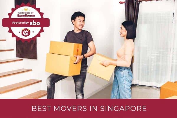 7 best movers in singapore