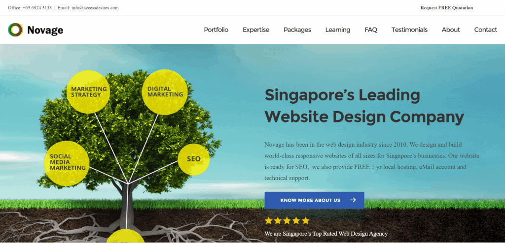 best website design singapore