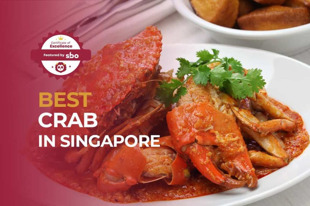 10 Best Crab in Singapore That You Must Try [2022]