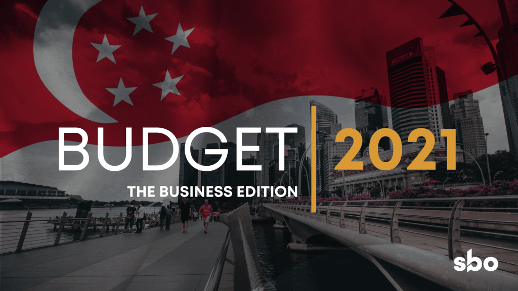 budget 2021 summary