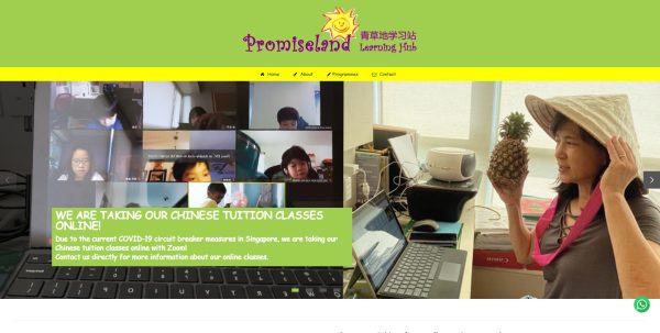 best chinese tuition in singapore_promiseland learning hub