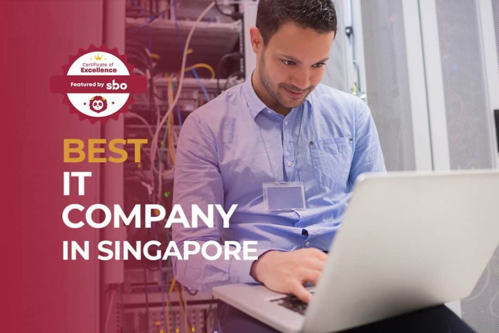 best it company in singapore