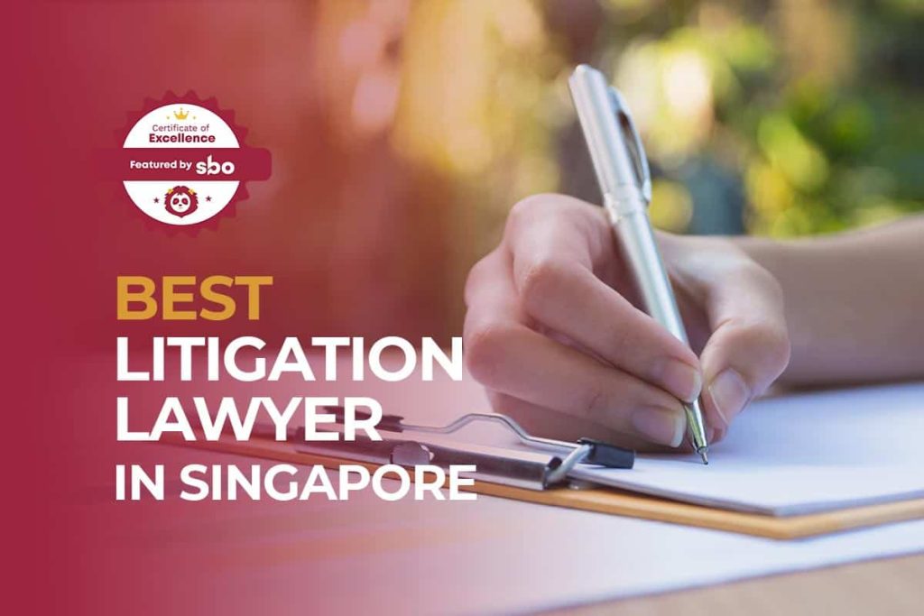 10 Best Litigation Lawyer In Singapore To Settle Lawsuits Civilly 2023