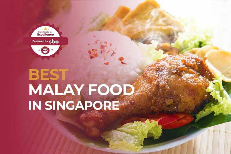10 Best Malay Food in Singapore That is Sedap [2022]