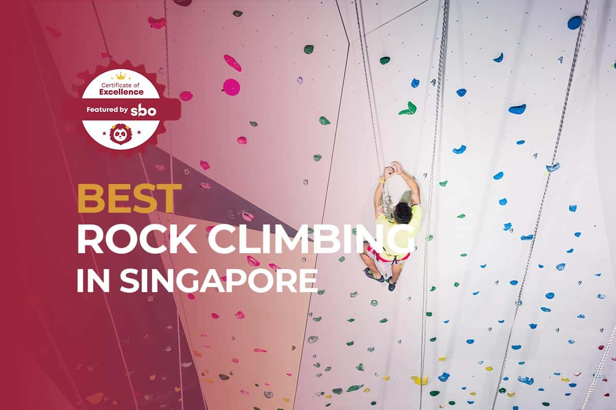 9 Best Rock Climbing in Singapore [2024] SBO.sg