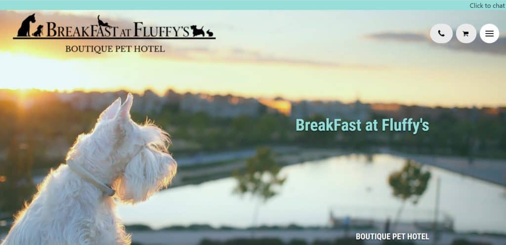 best pet sitter in singapore_breakfast at fluffy's