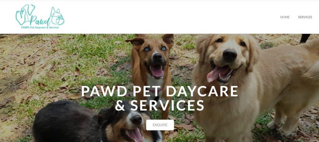 best pet sitter in singapore_pawd