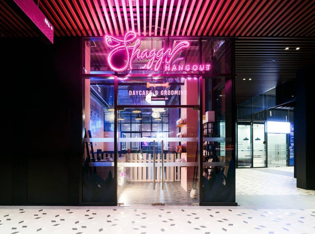 best dog groomers in singapore_shaggy hangout