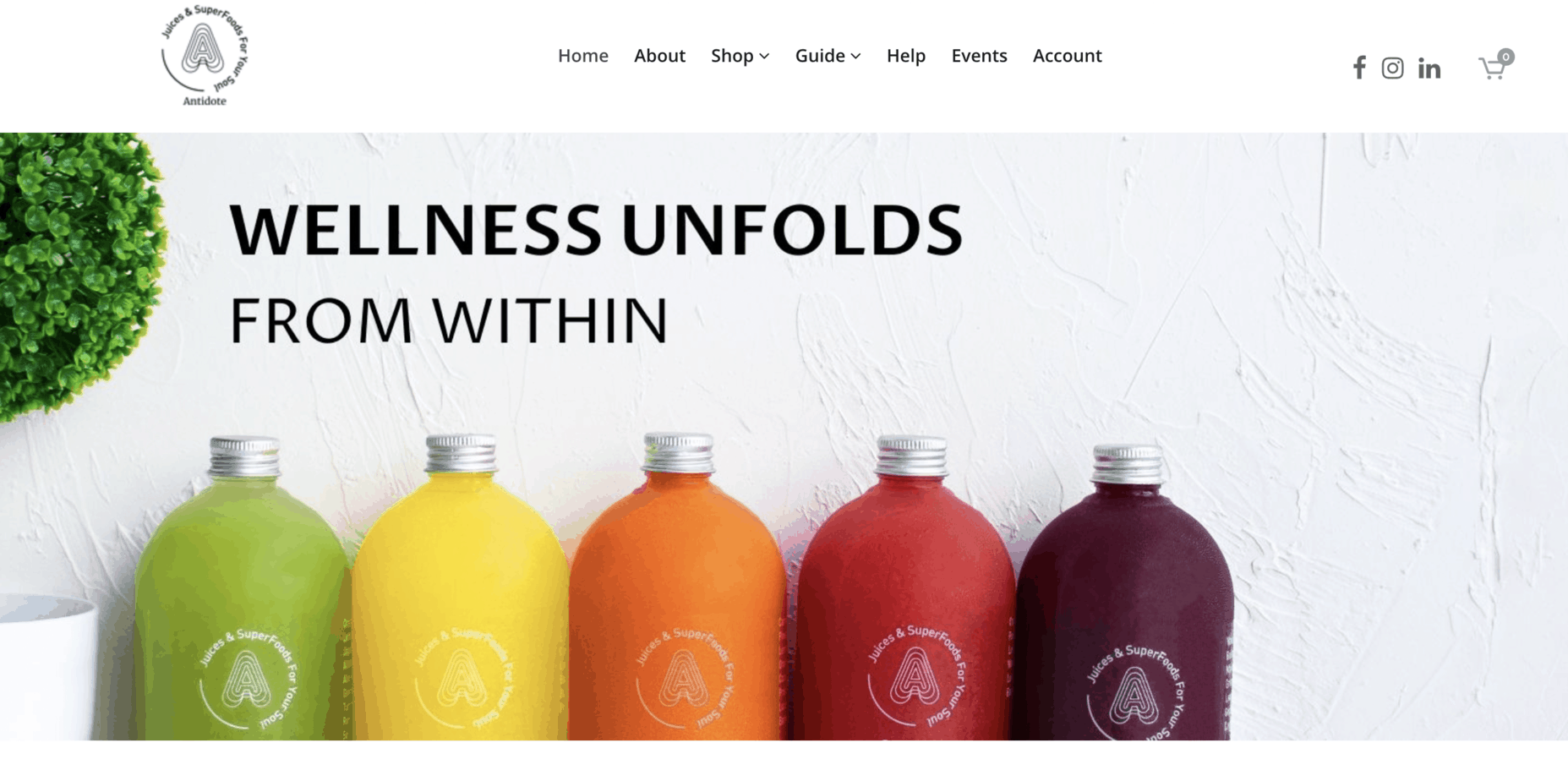 10 Best Fruit Juice in Singapore for a Vitamin C Fix [2023] SBO.sg