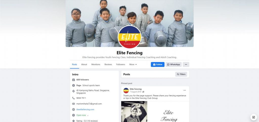 best fencing in singapore_elite fencing