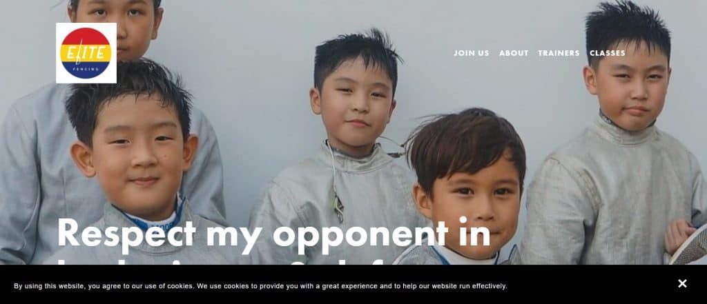 best fencing in singapore_elite fencing