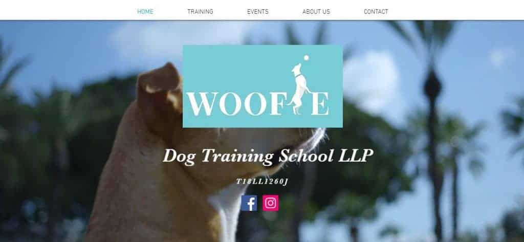 10 best dog training in singapore