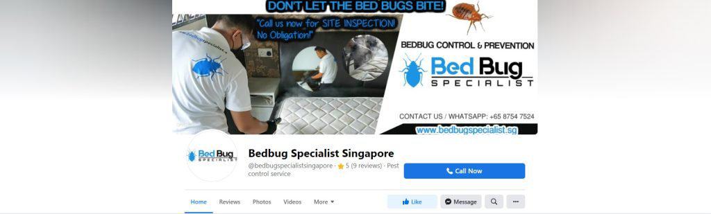 best car fumigation in singapore_bed bug specialist