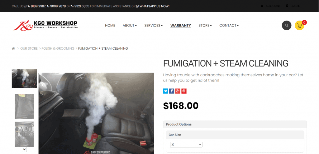 9 Best Car Fumigation in Singapore to Get Rid of Pests [2022] 5