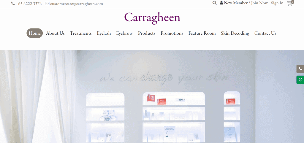 best salons for lash lift in singapore_carragheen
