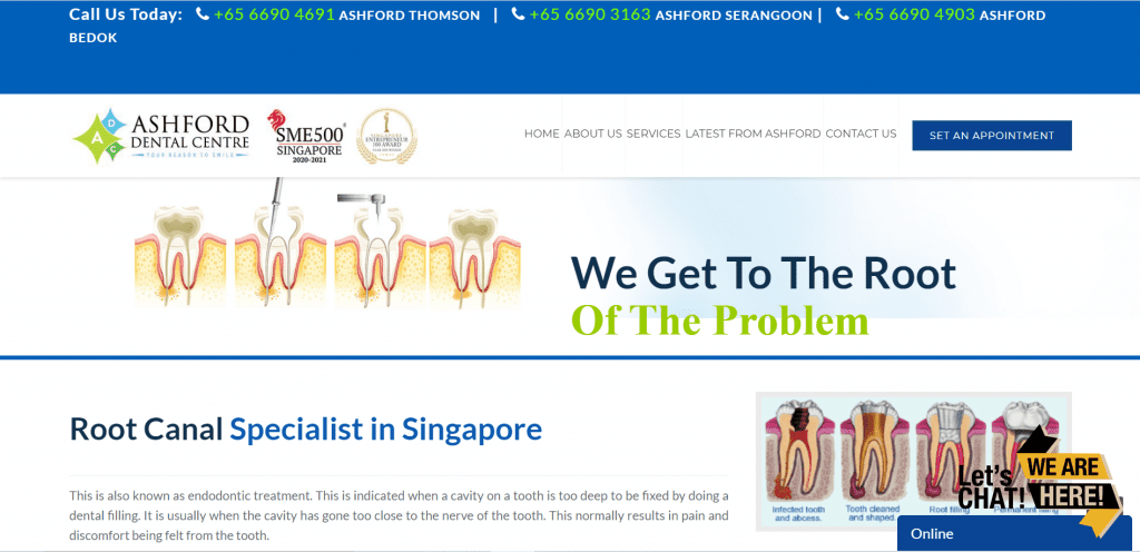 10 Best Root Canal Treatment in Singapore to Remove Inflamed Dental Pulp [2022] 5