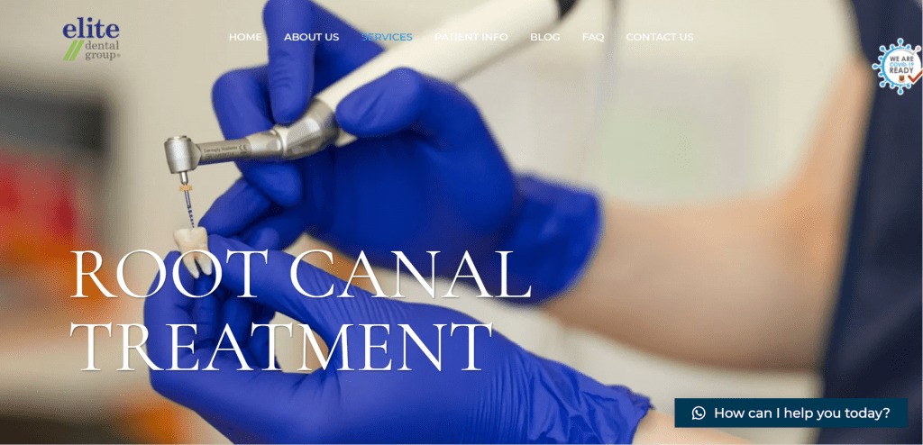 10 Best Root Canal Treatment in Singapore to Remove Inflamed Dental Pulp [2022] 7