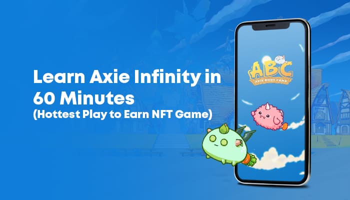 axie infinity course