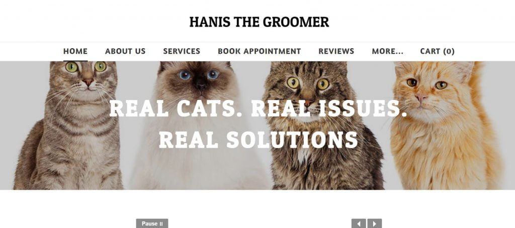 11 Best Cat Grooming in Singapore to Keep Them Looking Good [[year]] 3