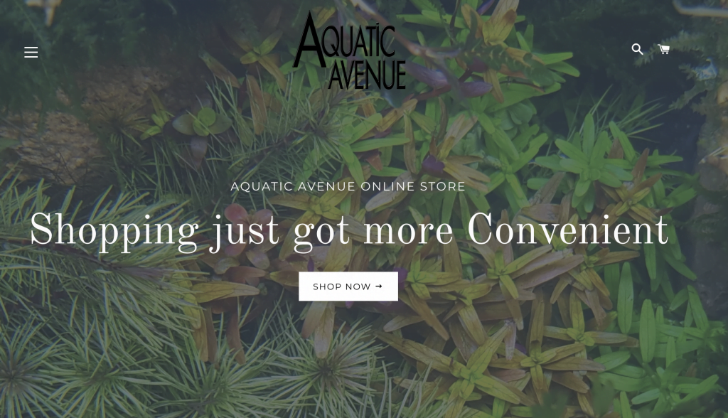 Fish Tank Singapore - Aquatic Avenue