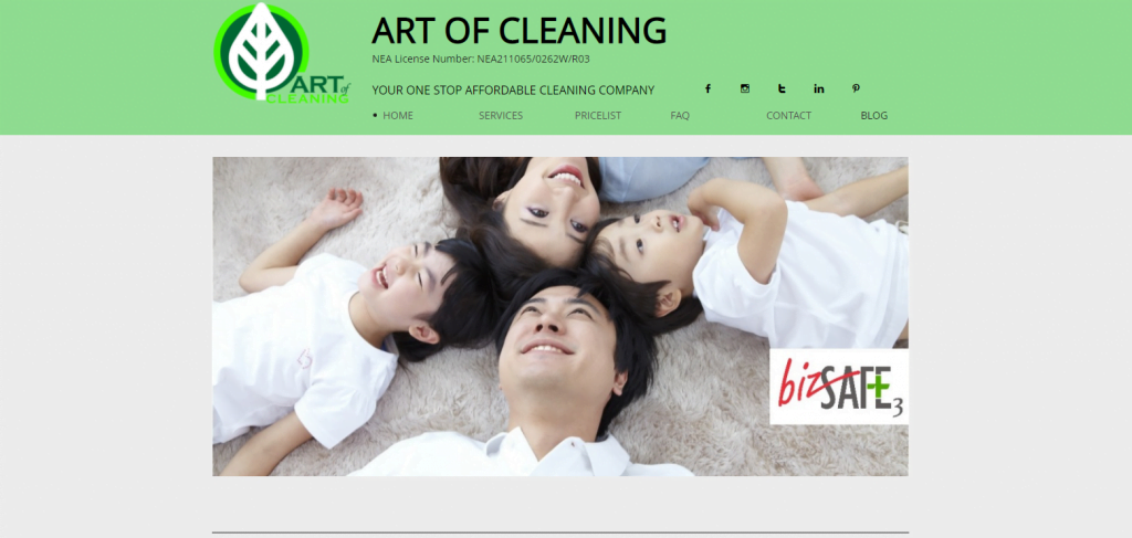 art-of-cleaning-best-carpet-cleaning-singapore