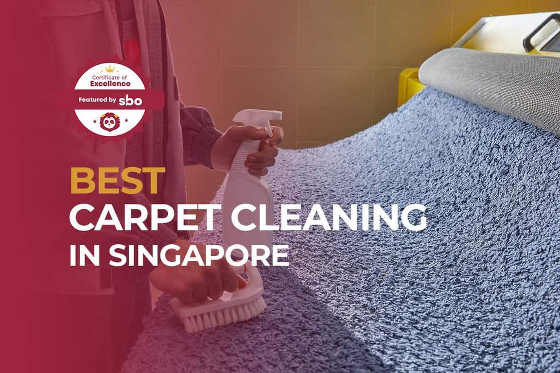 10 Best Carpet Cleaning in Singapore that are Affordable [2024] SBO.sg