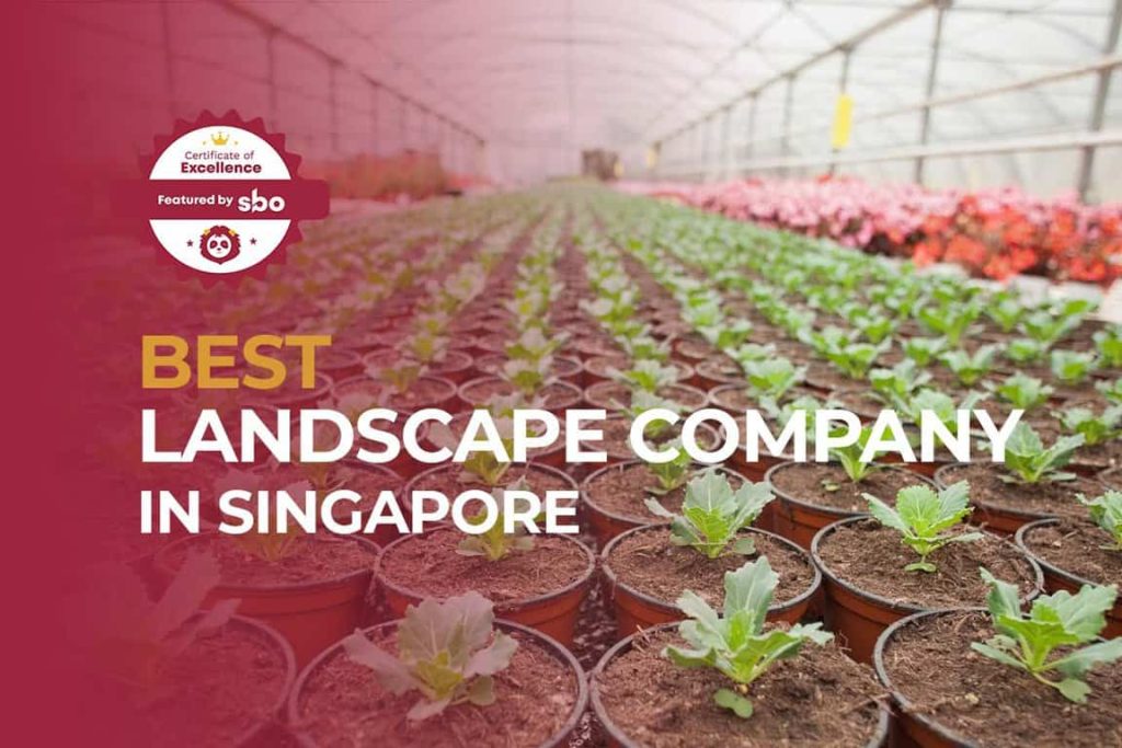 10 Best Landscape Company in Singapore for Landscape Works [2024] SBO.sg