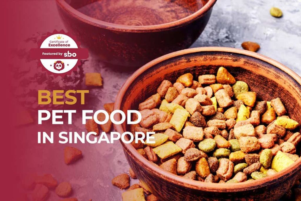 featured image_best pet food in singapore