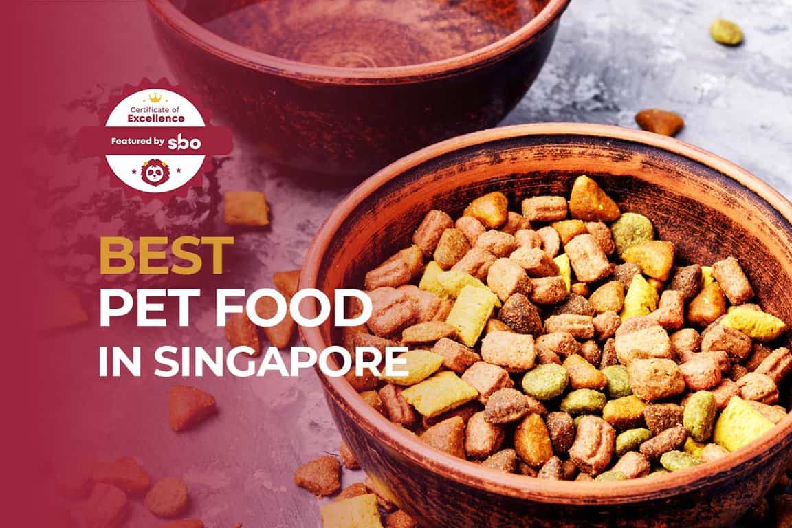 10 Best Pet Food in Singapore to Pamper Your Best Fluffy Friends [2024