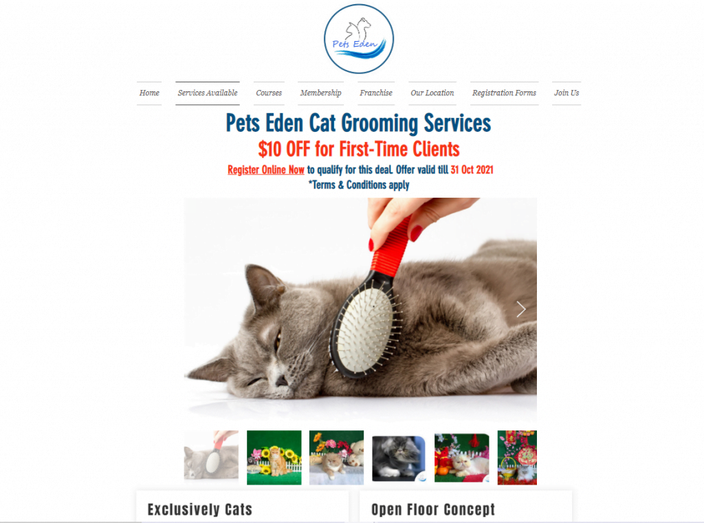 11 Best Cat Grooming in Singapore to Keep Them Looking Good [[year]] 7