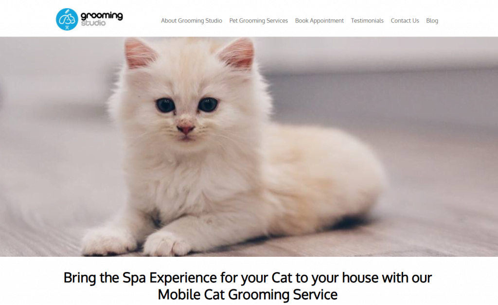 11 Best Cat Grooming in Singapore to Keep Them Looking Good [2022] 8