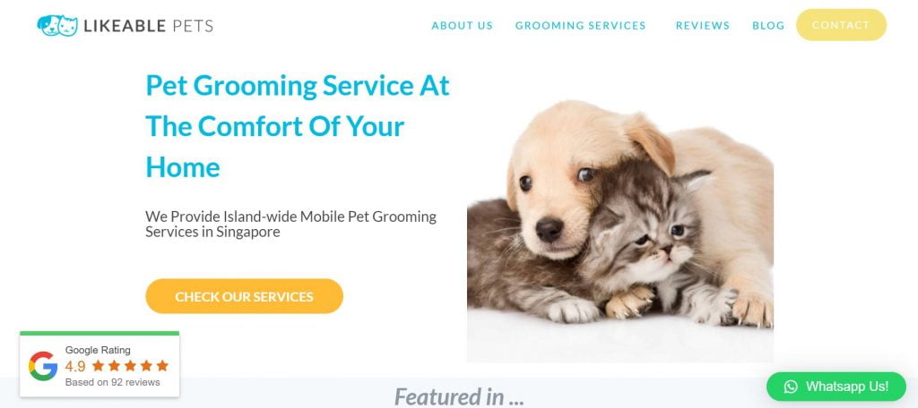 11 Best Cat Grooming in Singapore to Keep Them Looking Good [2022] 2