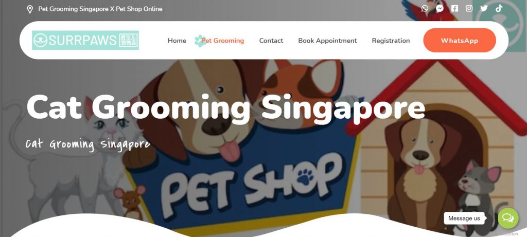 11 Best Cat Grooming in Singapore to Keep Them Looking Good [[year]] 6