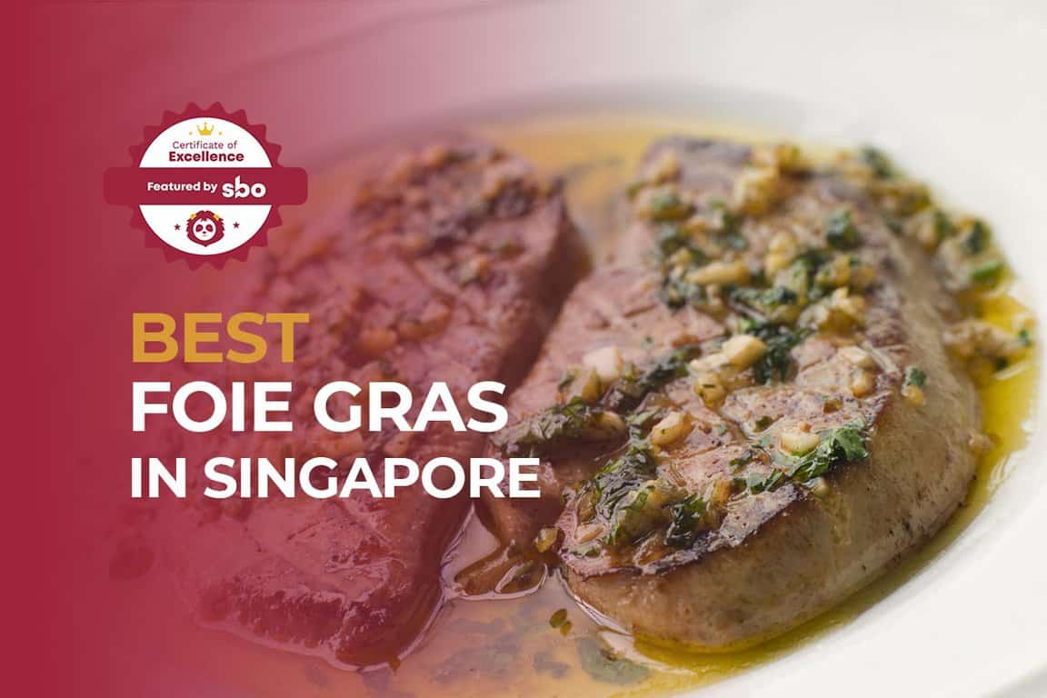 10 Best Foie Gras in Singapore that Will Melt in Your Mouth [2024] SBO.sg