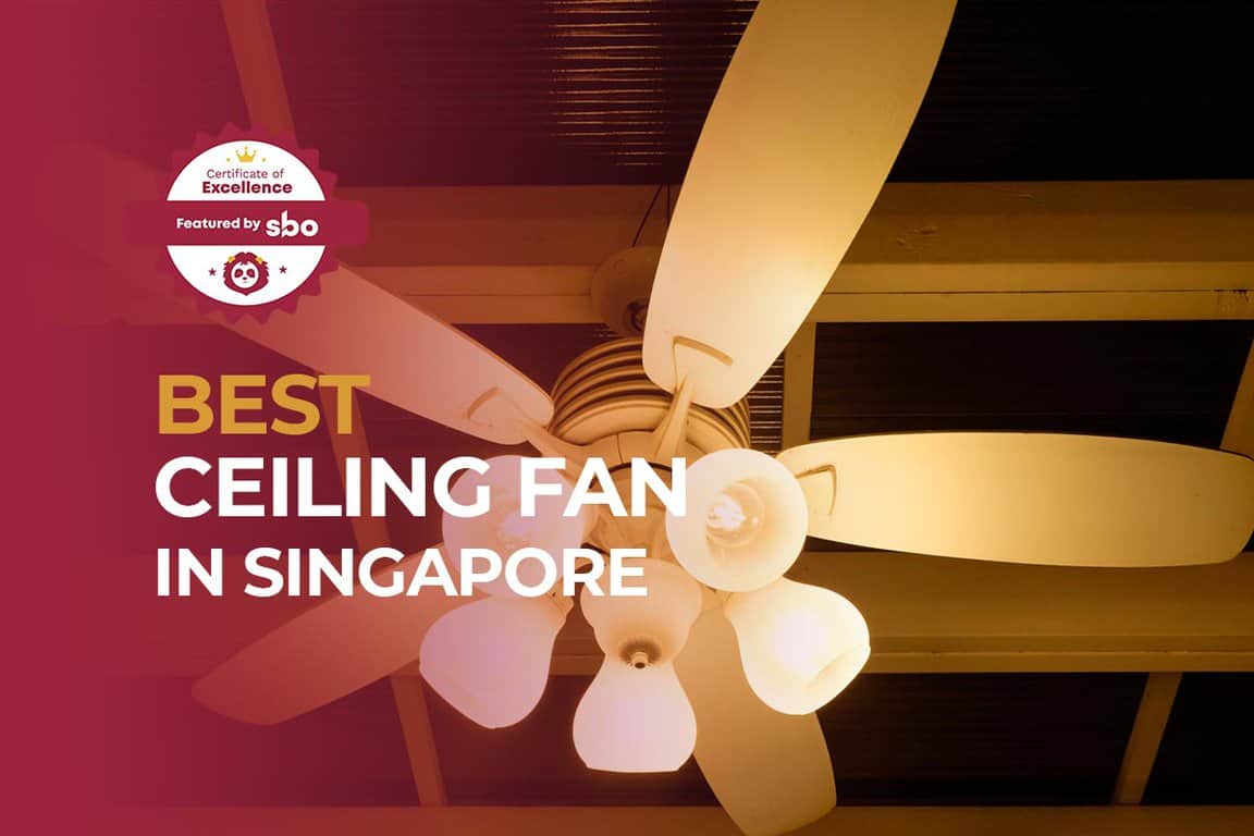 Top Ceiling Fan Brands Singapore Shelly Lighting