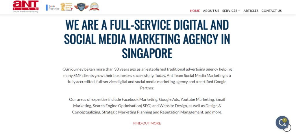best advertising agency in singapore_antteam