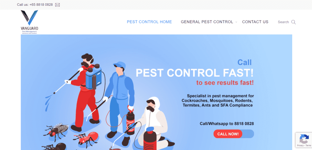 10 Best Pest Control in Singapore to Start Your Year on a Clean Slate [2022] 10