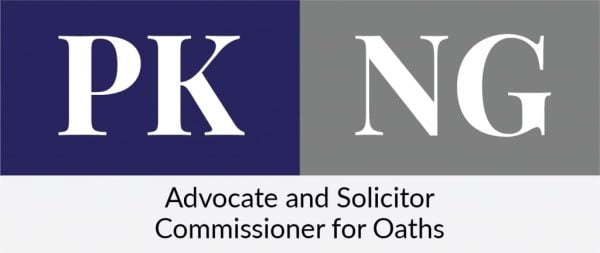 PKNG logo