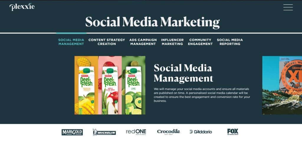 best social media agency in singapore_plexxie_new