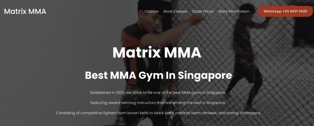 MMA in Singapore - Matrix MMA
