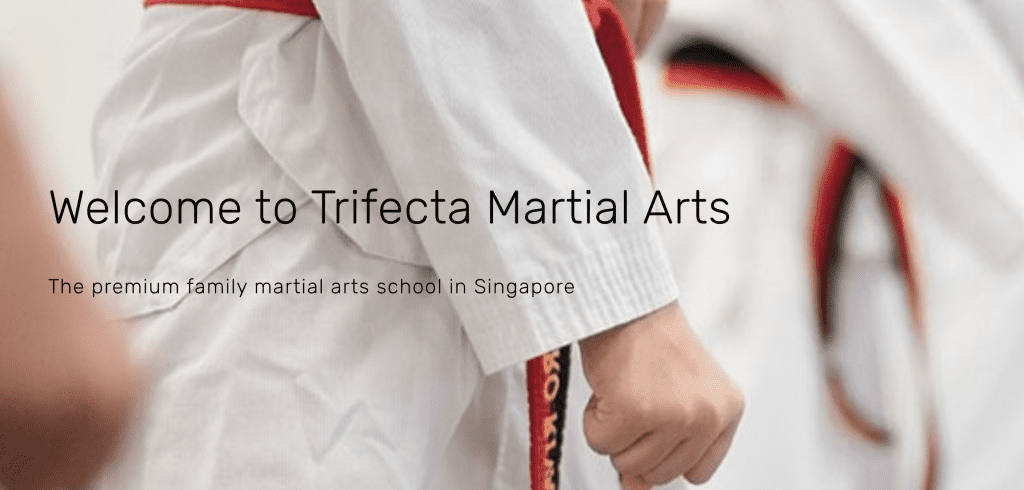 MMA in Singapore - Trifecta Martial Arts
