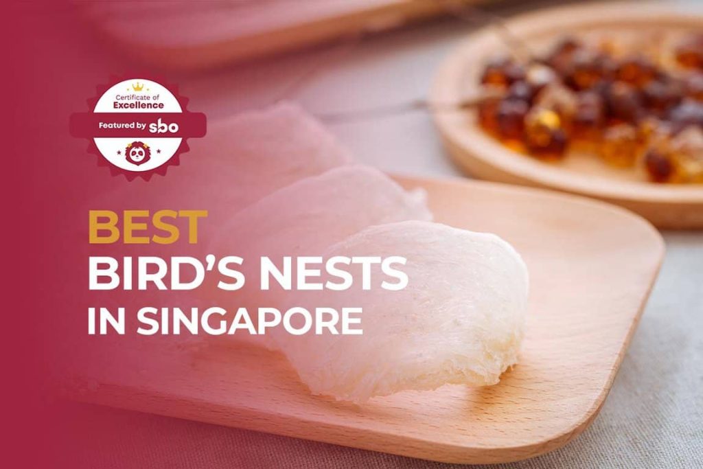 featured image_best bird's nests in singapore
