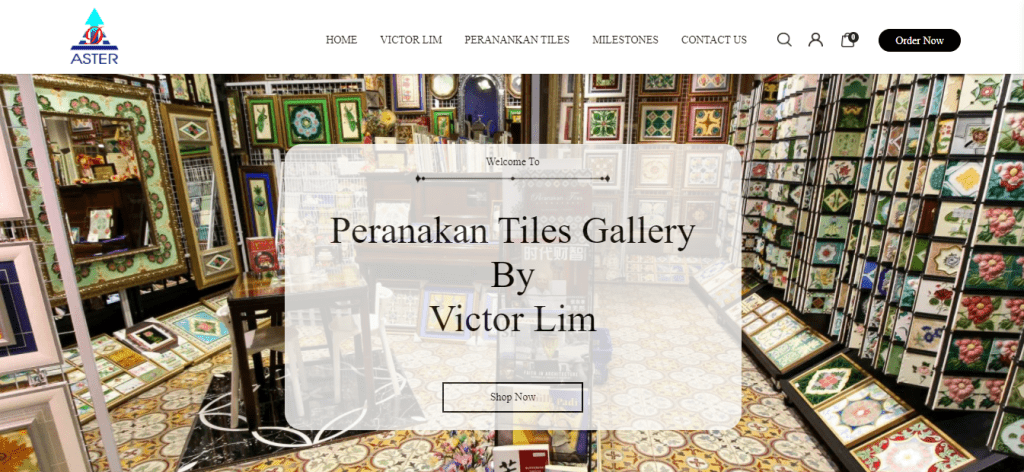 best tile shop in singapore_peranakantilesgallery