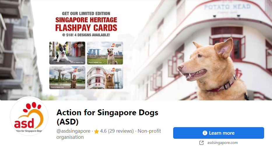 best pet adoption in singapore_actionforsingaporedogs