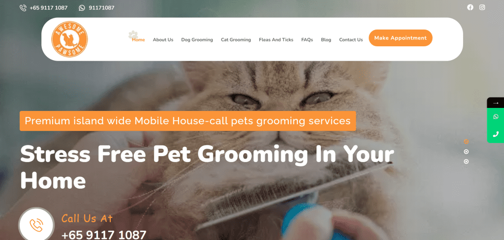 11 Best Cat Grooming in Singapore to Keep Them Looking Good [2022] 9