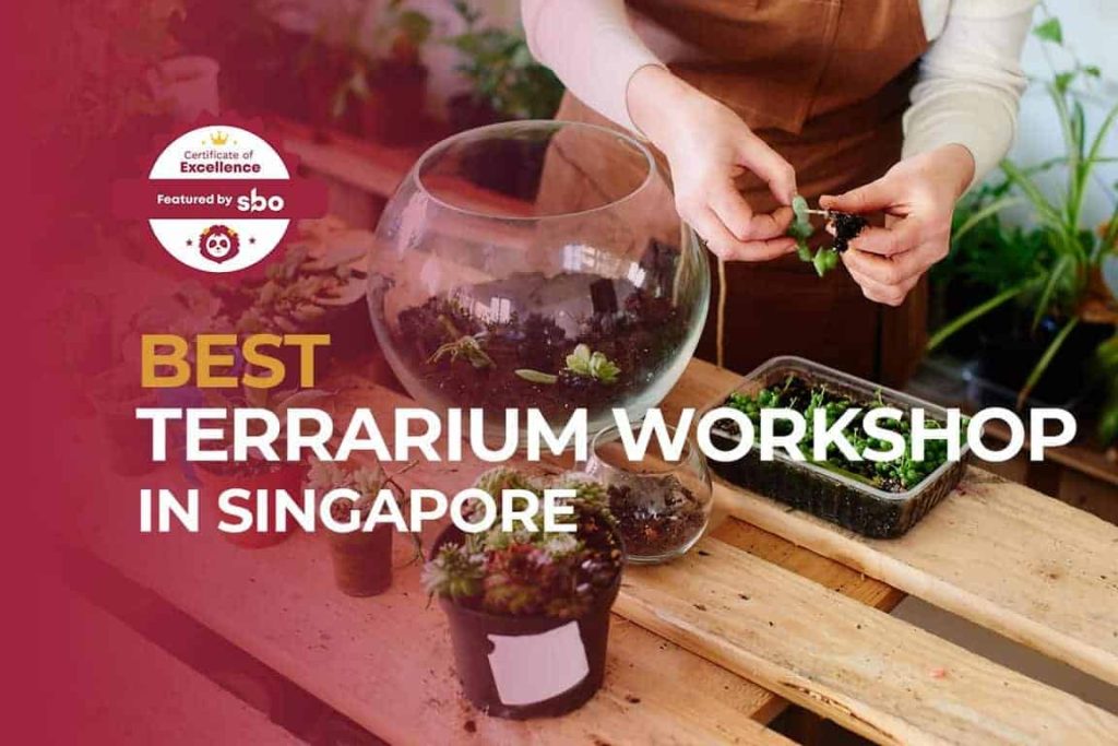 featured image-best terrarium workshop in singapore