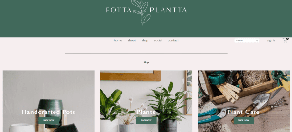 best plant nursery in singapore_pottaplantta