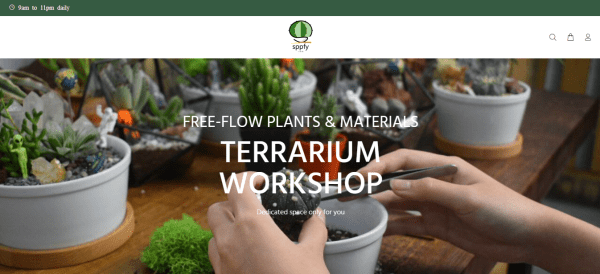 best terrarium workshop in singapore_sppfy.com