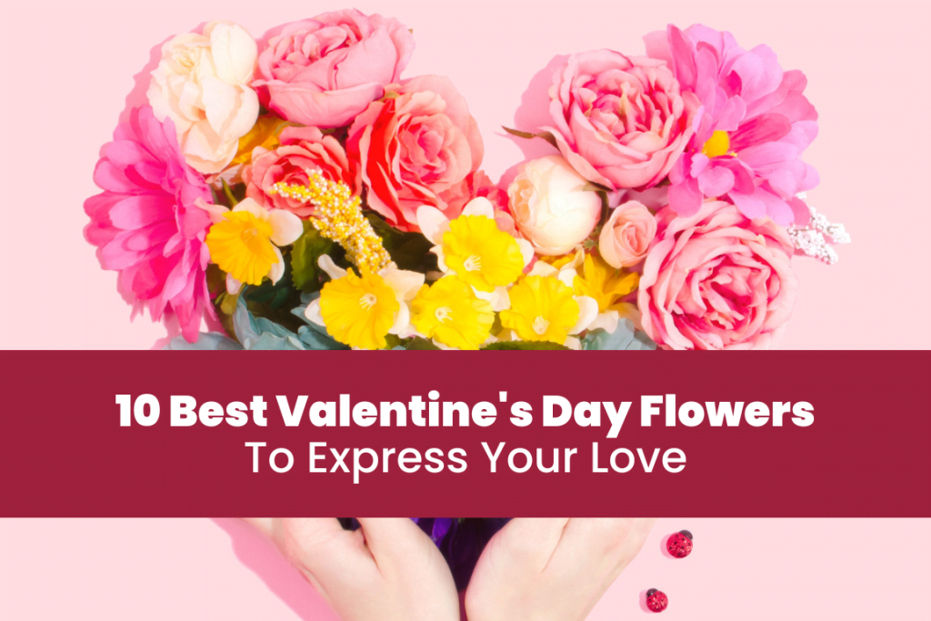10 Best Valentine's Day Flowers To Express Your Love