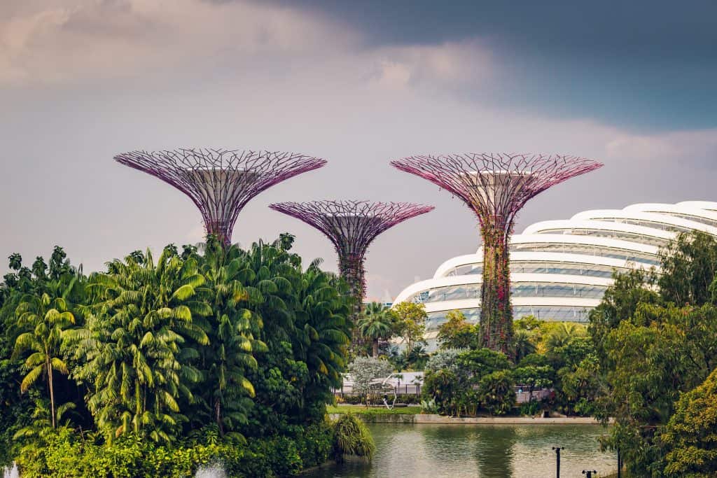 MRT Made Easy: A Useful Guide To Navigating Singapore On 6 Lines 4